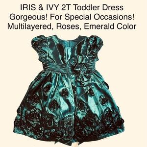5/$15💥 2T Toddler Girl Dress Gown Roses Bow Cup Sleeve Gorgeous